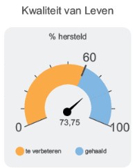 uitkomsten rapportages zorg